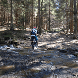 Album anzeigen Album anzeigen