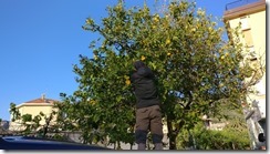 51-IMG_20170420_181557