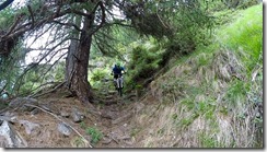 Vinschgau Juli 2017 (12)